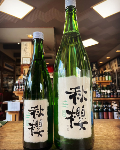 秋桜✨