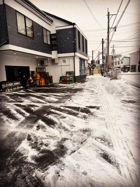 雪の日☃️