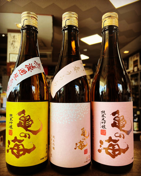 春うらら&イエロー&ピンク