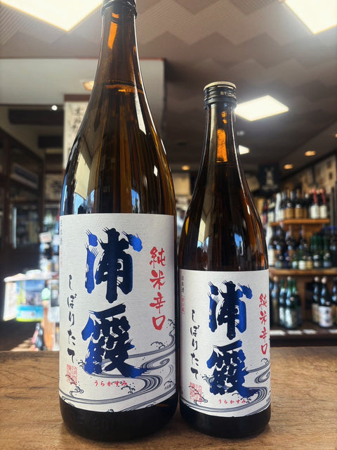 浦霞　辛口純米しぼりたて生