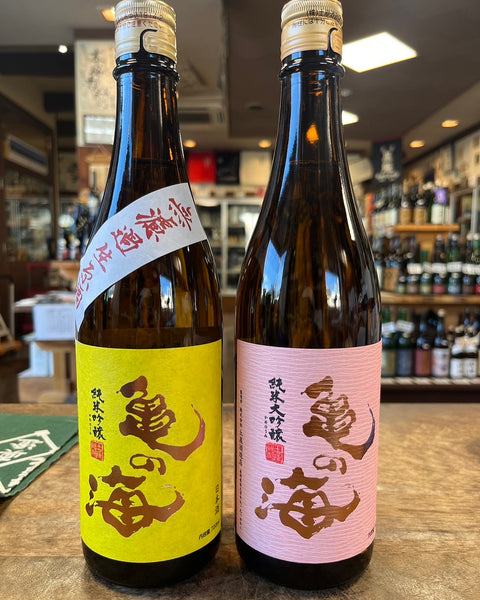 亀の海再入荷しました。