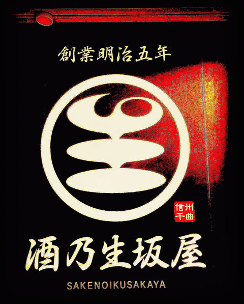 大人の遊園地✨