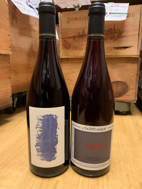 注目の若手醸造家のワインが入荷しました。