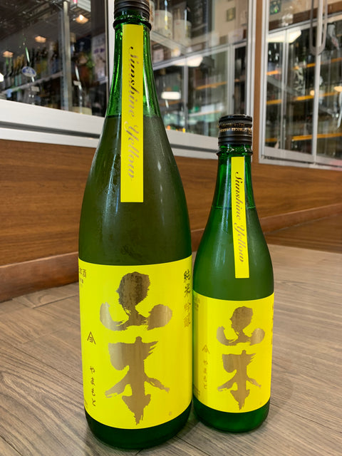 山本サンシャインイエロー入荷しました。