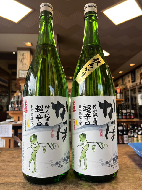 かっぱが大集合しました！