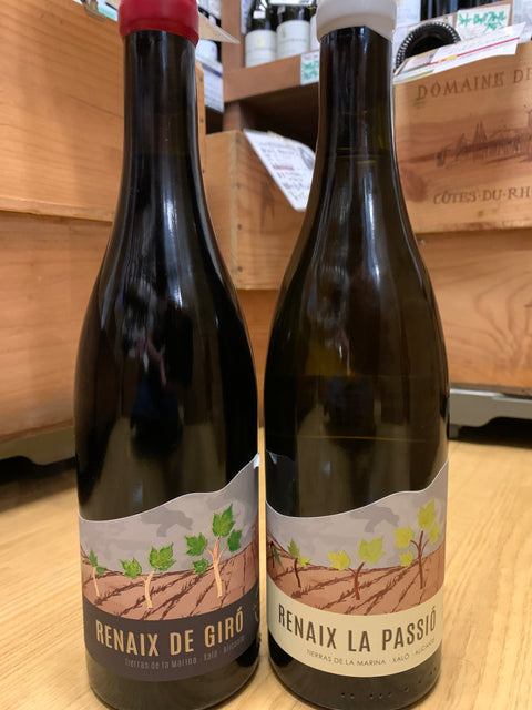 怒涛のワイン入荷　スペイン編